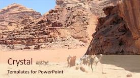  Presentation with rum - PPT layouts having camels in wadi rum desert background and a lemonade colored foreground