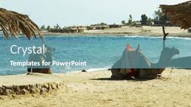  Presentation with coast - Colorful presentation design enhanced with camels-on-red-sea-coast backdrop and a teal colored foreground