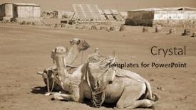  Presentation with popular - Slide deck enhanced with camels-on-the-sand-popular background and a coral colored foreground