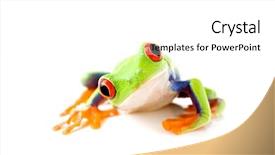  Presentation with frog - PPT theme consisting of camera - a red-eye background and a white colored foreground