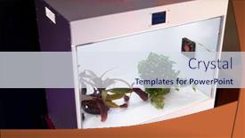  Presentation with plants growing - PPT layouts featuring camera-for-growing-plants background and a sky blue colored foreground