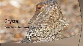  Presentation with monetary policy implemented by central banks - Presentation with camera with head raised back background and a  colored foreground