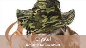  Presentation with english bulldog - Audience pleasing slides consisting of camo - dog wearing hunting hat isolated backdrop and a coral colored foreground