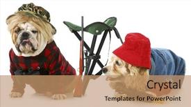  Presentation with english bulldog - Audience pleasing theme consisting of camo - hunting dogs - american cocker backdrop and a coral colored foreground