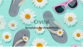  Presentation with blue flower - Slides consisting of camomile-flower-sunglasses-and-flip background and a light blue colored foreground