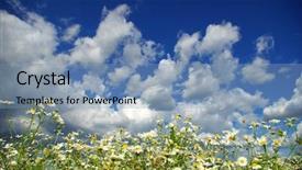  Presentation with sky - PPT theme consisting of camomile flowers on cloudy sky background and a  colored foreground