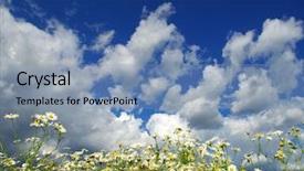  Presentation with airplane night sky cloud - Audience pleasing presentation consisting of camomile flowers on cloudy sky backdrop and a  colored foreground