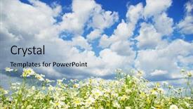  Presentation with airplane night sky cloud - Audience pleasing slides consisting of camomile flowers on cloudy sky backdrop and a  colored foreground