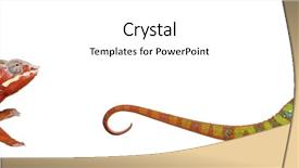  Presentation with old butcher shop - Beautiful PPT theme featuring camouflage theme - chameleon furcifer pardalis ambilobe 18 backdrop and a white colored foreground