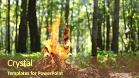  Presentation with bonfire - Presentation theme consisting of bonfire in the forest background and a tawny brown colored foreground
