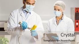  Presentation with corn cob - PPT theme enhanced with  background and a  colored foreground