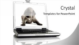  Presentation with microwave imaging image of modern - Slides featuring camrecorder - laptop with a webcam background and a white colored foreground