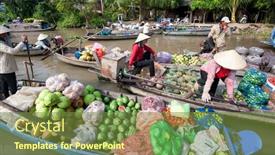 Presentation with mekong delta - Amazing PPT theme having can-tho-vietnam-23-jan backdrop and a tawny brown colored foreground