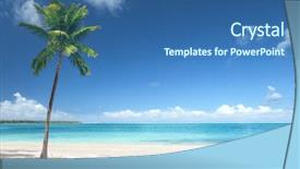  Presentation with palm beach - Beautiful slide deck featuring cana - palm and beach backdrop and a ocean colored foreground
