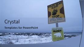  Presentation with polar bear - PPT theme enhanced with canada beach of churchill polar background and a light blue colored foreground