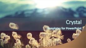  Presentation with mock up cotton tote bag - Audience pleasing PPT layouts consisting of canada tundra - arctic cotton flowers backdrop and a ocean colored foreground