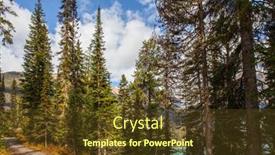  Presentation with forest morning - Slide set having canadian-rockies-canada-picturesque-dirt background and a tawny brown colored foreground
