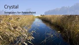  Presentation with canal irrigation - Audience pleasing slide deck consisting of irrigation canal - marsh with ditch and reed backdrop and a light blue colored foreground