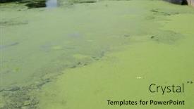  Presentation with canal - 