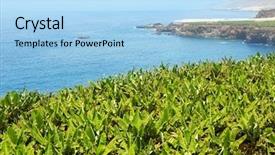  Presentation with plantation - Slides with canarian banana plantation near background and a light blue colored foreground