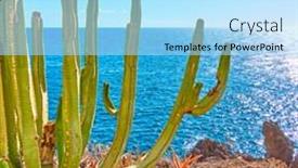  Presentation with island - Amazing PPT layouts having canary-island-spurge-euphorbia-canariensis backdrop and a light blue colored foreground