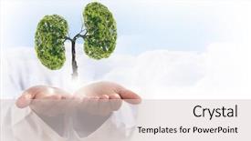  Presentation with human lungs - Amazing presentation theme having breathing organ - conceptual image of green tree backdrop and a lemonade colored foreground