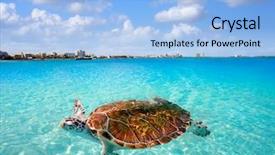  Presentation with mexico cancun - Slide deck with zoning - cancun beach turtle photomount background and a light blue colored foreground
