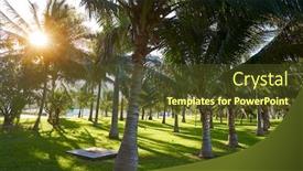  Presentation with mexico cancun - Amazing theme having cancun mexico kukulcan boulevard palm trees at hotel zone in mexico backdrop and a tawny brown colored foreground