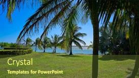  Presentation with cancun - Slide set enhanced with cancun pok-ta-pok palm trees in hotel zone at nichupte lagoon of mexico background and a tawny brown colored foreground