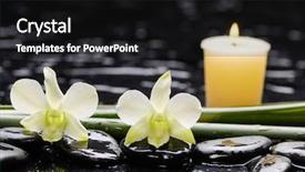  Presentation with peppermint candy cane on white - PPT theme enhanced with concept white orchid with candel background and a black colored foreground