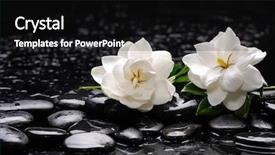  Presentation with water life - Slide deck having candle on black pebbles background and a  colored foreground