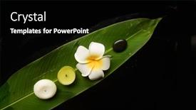  Presentation with plumeria - PPT theme consisting of candle-stones-l-with-plumeria background and a black colored foreground