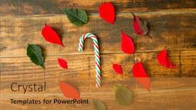  Presentation with cane - Audience pleasing presentation design consisting of candy cane and leaves on a wooden background backdrop and a gold colored foreground