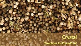  Presentation with sugar cane - PPT layouts enhanced with cane sugar stack in asian background and a tawny brown colored foreground