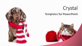  Presentation with dog christmas - PPT theme enhanced with canine - new year's puppy christmas dog background and a white colored foreground