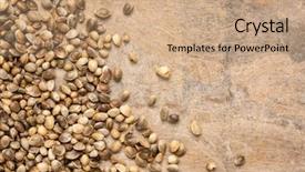  Presentation with hemp - Colorful slides enhanced with cannabis - dried hemp seeds on textured backdrop and a coral colored foreground