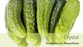  Presentation with cucumbers - Colorful theme enhanced with two model figures of businessmen shaking hands under a red roof that is lying on two stacks of coins backdrop and a coral colored foreground