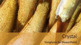  Presentation with canned fish - Presentation featuring canned fish in the olive background and a gold colored foreground