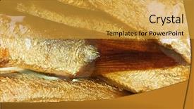  Presentation with canned fish - Presentation theme enhanced with adorable beagle posing for the camera background and a tawny brown colored foreground