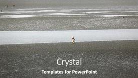  Presentation with canning - 