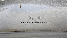  Presentation with canning - 