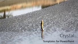  Presentation with canning - 