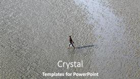  Presentation with canning - 