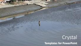  Presentation with canning - 