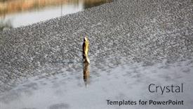  Presentation with canning - 