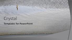  Presentation with canning - 