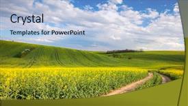  Presentation with road yellow - Beautiful slide deck featuring canola - colorful valle - yellow flowering backdrop and a light blue colored foreground