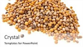  Presentation with seeds - Beautiful PPT layouts featuring indian ethnicity knowledge literacy concept backdrop and a light gray colored foreground