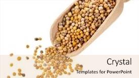  Presentation with spoon - Presentation enhanced with canola - mustard seeds in wooden scoop background and a coral colored foreground
