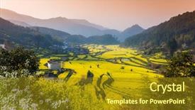  Presentation with ancient china - PPT theme having canola - rape flowers and chinese ancient background and a tawny brown colored foreground